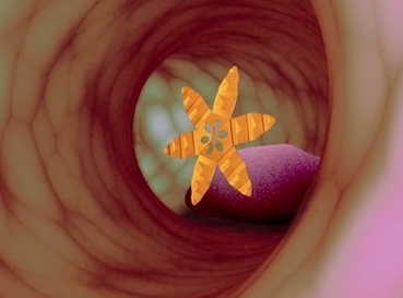 Những robot siêu nhỏ giúp chữa bệnh từ bên trong cơ thể