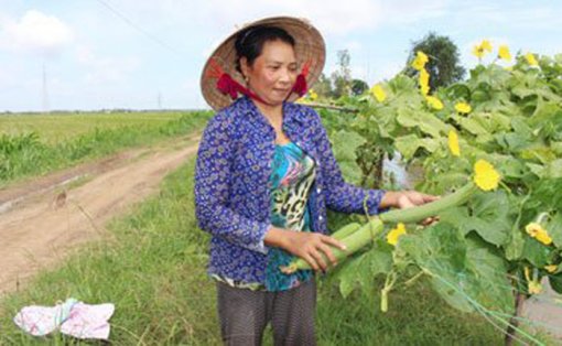 ចាកផុតពីភាពក្រីក្រ អាស្រ័យដាំដំណាំរួមផ្សំ