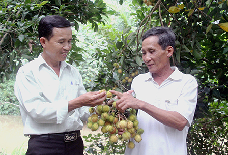 Bí thư Chi bộ gương mẫu