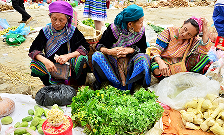 Ba ngày dưới chân dãy Hoàng Liên Sơn
