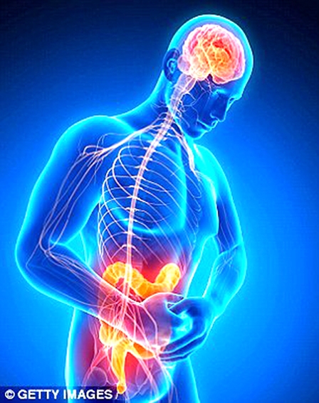 Hệ vi khuẩn đường ruột ảnh hưởng sức khỏe tâm thần ra sao?