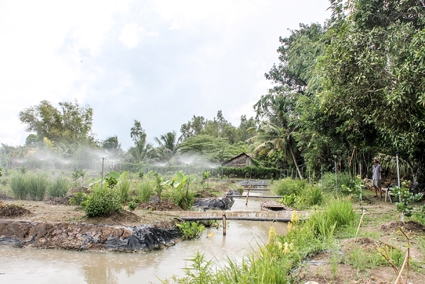 Phát triển nông nghiệp hữu cơ, thông minh, hiện đại