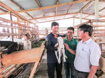 Triển vọng mô hình nuôi dê ở Vĩnh Thạnh