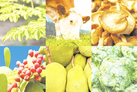 5 xu hướng thực dưỡng sẽ tạo nên cơn sốt trong tương lai