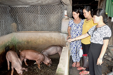 Những chuyển biến mới