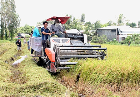 Nâng cao sức cạnh tranh 
cho nông sản Việt Nam