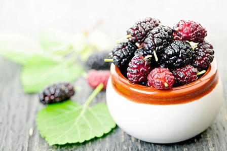 Chiết xuất dâu tằm có 

tác dụng hỗ trợ giảm cân, chữa béo phì