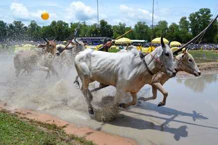 Sức sống văn hóa Khmer Nam bộ