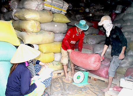 Giá  lúa gạo tăng