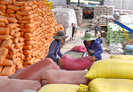 Liên kết vì mục tiêu phát triển bền vững