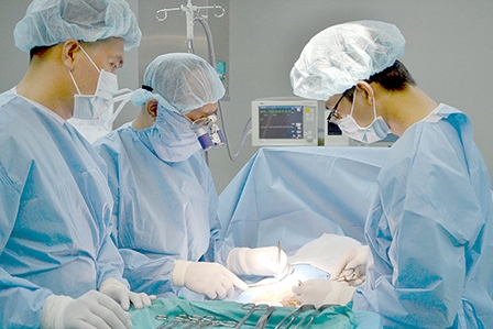 Vi phẫu cột tĩnh mạch tinh