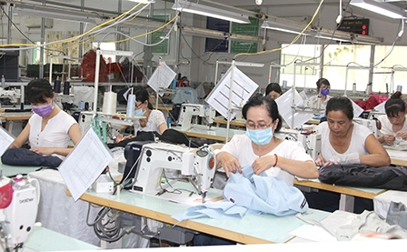 Lãnh đạo thành phố làm việc với Công ty cổ phần May Meko