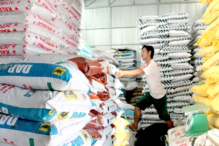 Không lo “sốt” giá phân bón