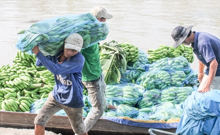 ĐBSCL- địa điểm mới cho nhà đầu tư