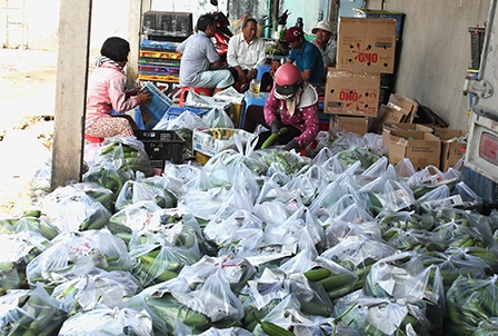 Nông dân trồng rau màu “trúng giá”