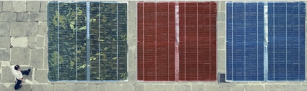 Sản lượng điện Mặt trời sẽ tăng gấp 6 lần vào năm 2030