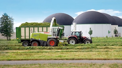 Anh: Sản xuất nhiên liệu sinh học từ cỏ