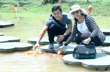Vui chơi giải trí ở Yang Bay