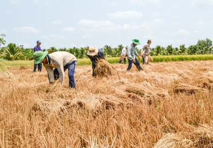 Cần tầm nhìn mới cho sử dụng đất đai