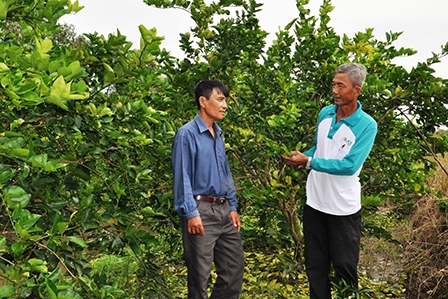 Đảng bộ phường Thường Thạnh: Tập trung lãnh đạo đưa phường phát triển toàn diện