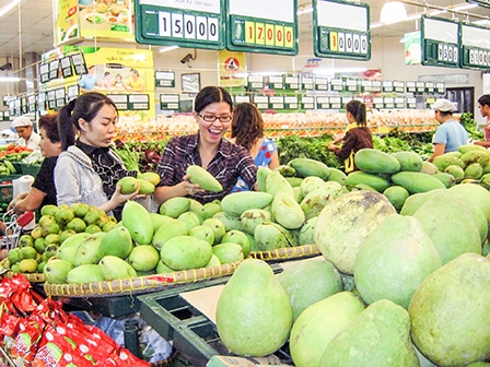 Kết nối cung cầu cho 
nông sản sạch