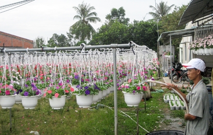 Nâng khả năng chống chịu biến đổi khí hậu cho ĐBSCL