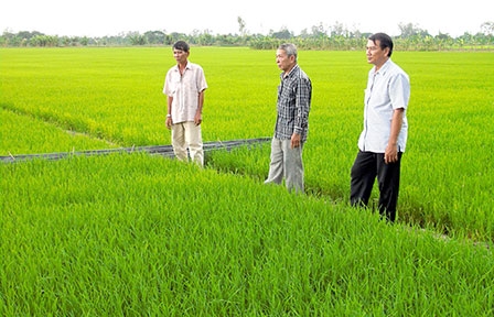 Chi bộ ấp Thới Thuận B: Khắc phục khuyết điểm, góp phần nâng cao đời sống nhân dân