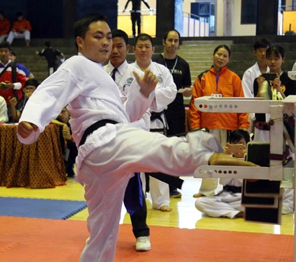 Các võ sĩ Cần Thơ giành 27 huy chương