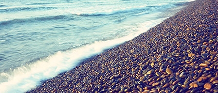 “Săn” rêu biển phải có ý thức