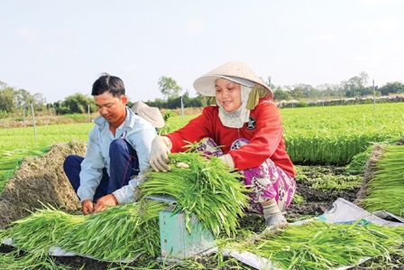 Tập trung nguồn lực phát triển kinh tế