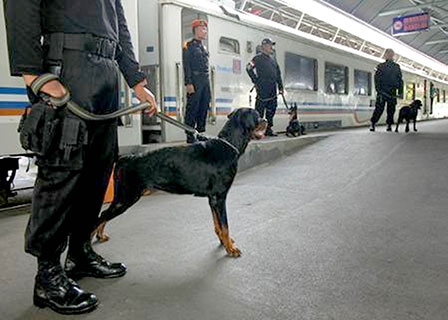 Hiểm họa khủng bố trước lễ Giáng sinh và Năm mới