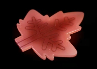 "Lá nhân tạo" có thể sản xuất dược phẩm nhờ ánh nắng