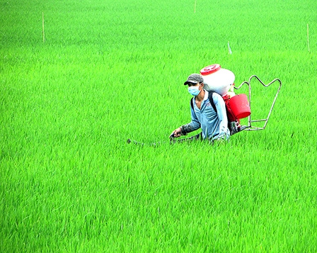 Tha&#803;nh Lô&#803;c: Dồn sức xây dư&#803;ng nông thôn mơ&#769;i