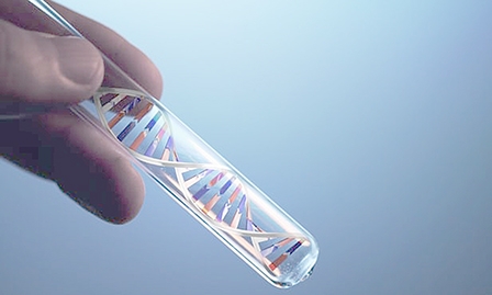 2016  năm đột phá của ngành khoa học thế giới