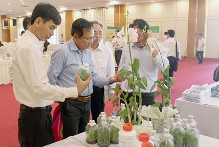 Tạo sức bật mới trong cải thiện môi trường kinh doanh