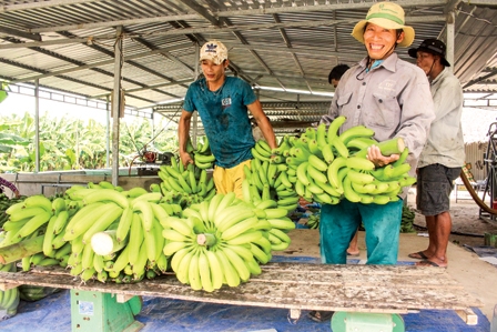 Đầu tư hạ tầng hiện đại, 
phát triển nông nghiệp 
ứng phó với thiên tai