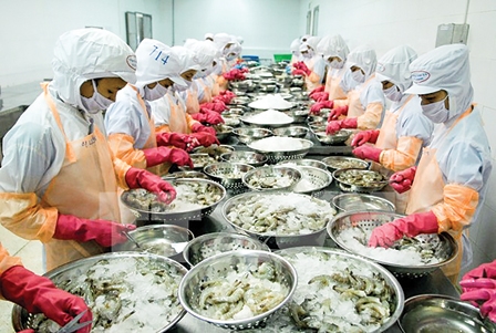 Trở lại đà xuất siêu, nông nghiệp “lội ngược dòng” tăng trưởng