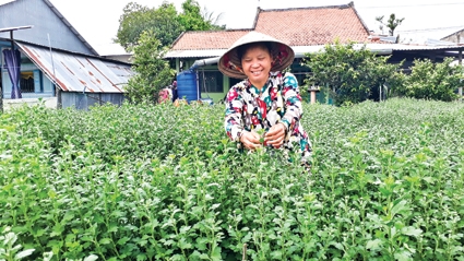 “Xóm cúc” rộn ràng đón Tết