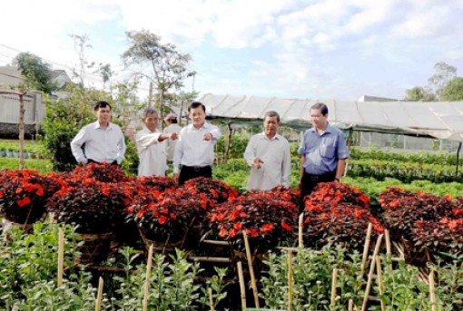 Hỗ trợ nông dân tiếp cận giống cây trồng, tiến bộ kỹ thuật mới