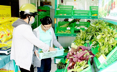 Ngành công thương Cần Thơ: Tìm giải pháp 
tăng trưởng cao hơn