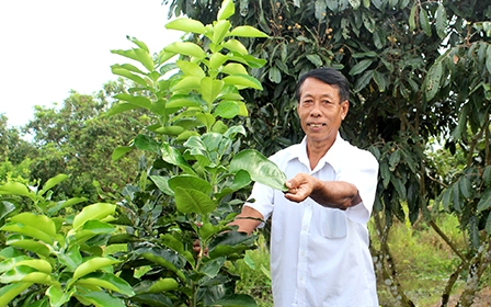 Chuyển biến mới ở An Hưng
