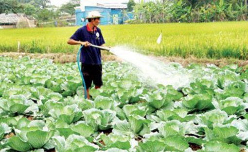 ស្រុកត្រឹងដេ​ បច្ចុប្បន្ន