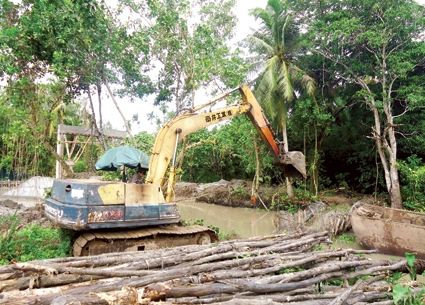 Không lơ là hạn, mặn