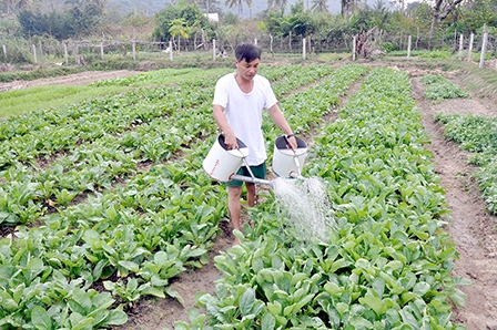 Khơi dậy tiềm năng Thổ Châu