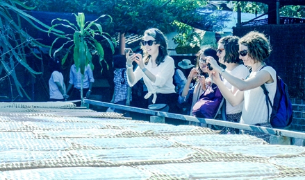 Du lịch Cần Thơ dự kiến đón 5,6 triệu 
lượt khách trong năm 2017