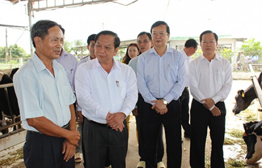 Lãnh đạo thành phố tham quan các mô hình sản xuất nông nghiệp hiệu quả ở Cờ Đỏ