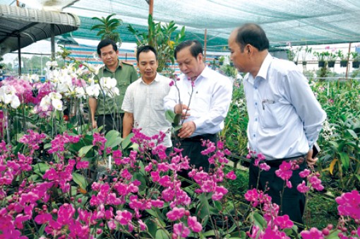 Bí thư Thành ủy tham quan mô hình kinh tế mới ở quận Bình Thủy
