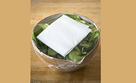 Bí quyết bảo quản rau quả 
tươi ngon dài lâu