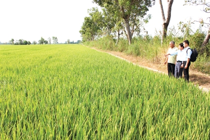 Đồng thuận áp dụng “3 giảm, 3 tăng”