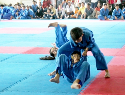 Thể thao Cần Thơ  năm 2017: 
Phát triển ổn định, vững chắc